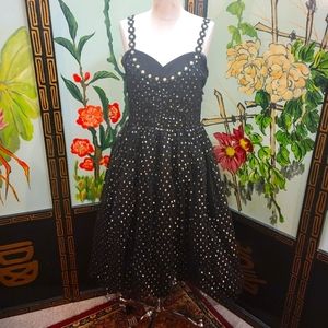 Voodoo Vixen Black and gold tulle dress.